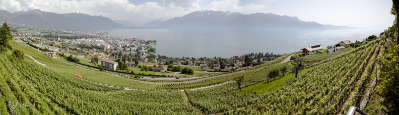 Le domaine Neyroud-Fonjallaz se trouve au coeur du vignoble en terrasses de Lavaux, un site unique inscrit au patrimoine mondial de l'UNESCO.
www.neyroud.ch/index.php
En bas, la ville de Vevey au bord du lac Léman et en face, les montagnes de la Haute-Savoie.
2014-06-09_2744_stitch_3 flickr-Papilli-14405869623.jpg