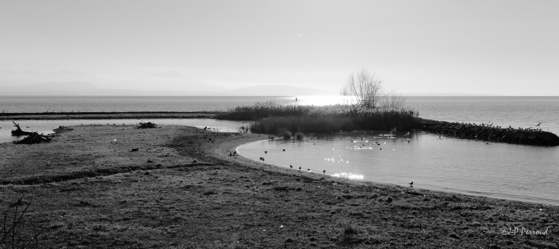 Lac Léman à Préverenges.
2015-01-05_5221_3 flickr-Papilli-15594668373.jpg