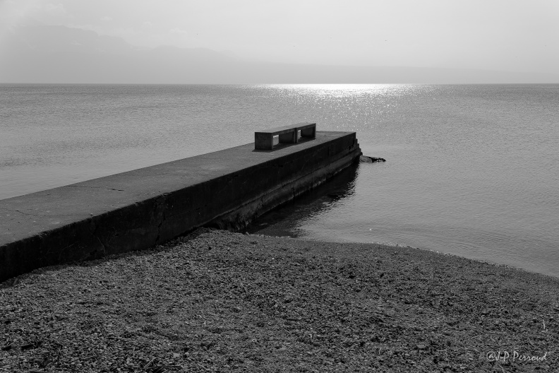 Au bord du lac Léman, à Lutry
IMG_6084_9_2_3 flickr-Papilli-13252687173.jpg