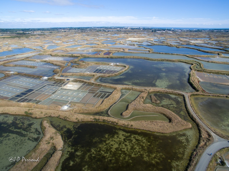 Marais salants de Guérande
2016-09-11_0159_3 flickr-Papilli-29580253056.jpg