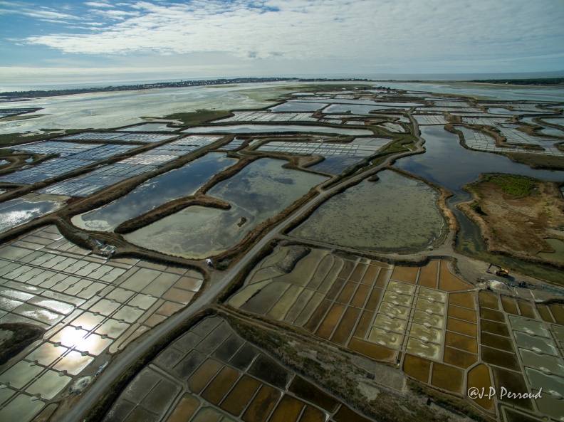 Marais salants de Guérande
2016-09-11_0157_3 flickr-Papilli-28988898894.jpg