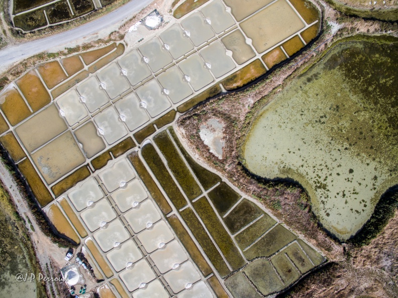 Marais salants de Guérande
2016-09-11_0144_3 flickr-Papilli-29533912701.jpg