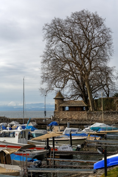 Digue ouest
2016-02-11_9494_3 flickr-Papilli-24336890103.jpg