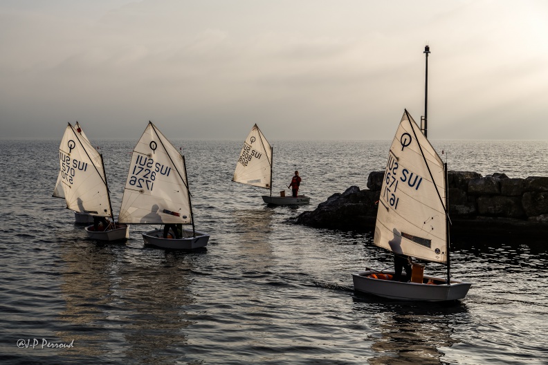Port de la Tour-de-Peilz
2015-11-11_6518_3 flickr-Papilli-22559203659.jpg