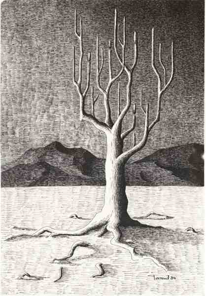 arbre_magi.jpg