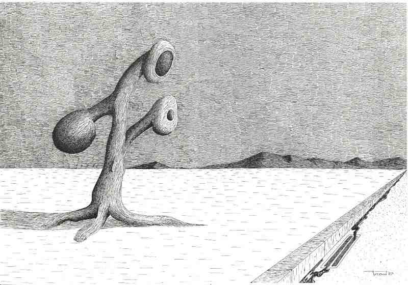 le_trottoi.jpg
