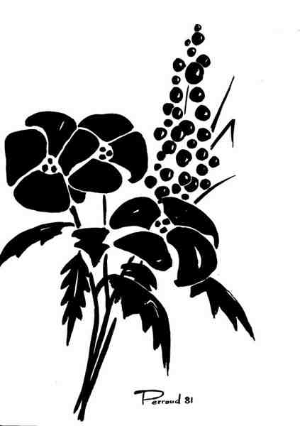 plantes_81.jpg