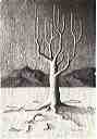arbre magique