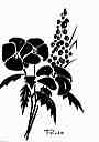 plantes 81