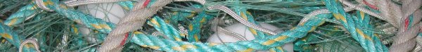 Filets de pêcheur