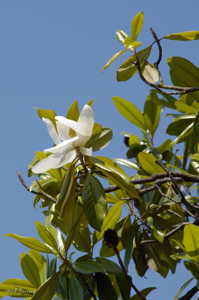 photographies de jean-pierre perroud